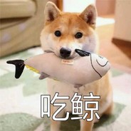 犹豫白给。干就完了