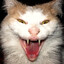 kreepykat