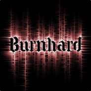 Burnhard - steam id 76561197963172740