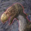 argonianstout9