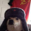 russian doge