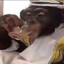 Arab Monkey