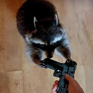 MapacheTactico69