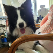 枪马了你骂枪啊，你骂我干什么