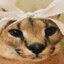 Snypie