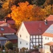 我不好过都别赢