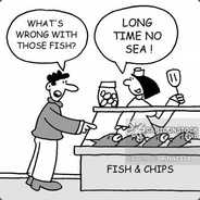 fish&#039;n&#039;chips