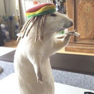 Pequeño jjhonn avatar