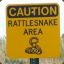 Rattlesnake8