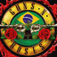 gaUch0 GnR