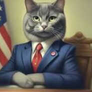 КОШАЧИЙ ДЕПУТАТ