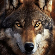 КАСКЫР_1 - steam id 76561199751169479