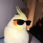 DJtaDEUS