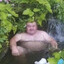 Бык осеменитель