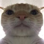 mrktheisz