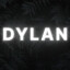 DyLaN