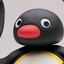 Noot Noot