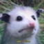 Opossum Valenrodum