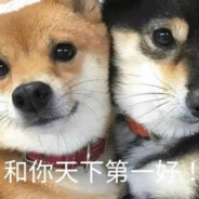 你不怕我队友的嘛