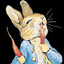 Peter Rabbits