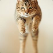 Big Avatar
