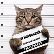 Kotovsky