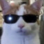 mugmaster