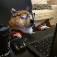 爱要怎么说出口