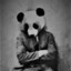 The Lost Panda