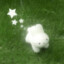 _Hinshi