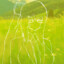 VirusByte