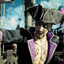 Captain Majima