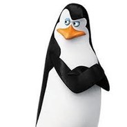 <<<<Kowalski>>>>