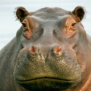 макрощелочник