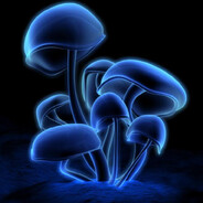 Mushroom Insane