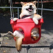 我的小帮手全马啦