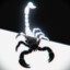 Skorpion2203