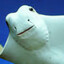 Stingray