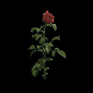 весёлый фермер