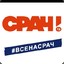 СорокПАЛАДИНОВ