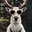 THE DEER