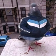 Коля Крутой