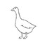 GOOSE