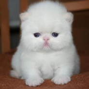 КусокБатона