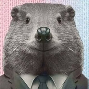 Kurwa Bóbr avatar