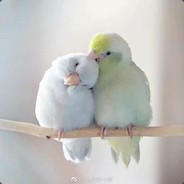 德云仙女王叔叔