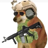 悲伤的狗狗头[崩铁版]