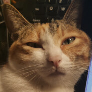 Nekoฅ'ω'ฅ