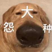 数不清相逢