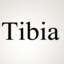 Tibia